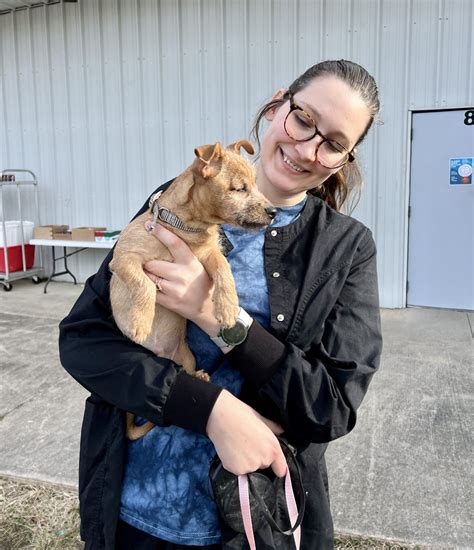 Vaccine Clinics Blue Ridge Humane Society Hendersonville Nc