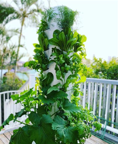 Balcony Herb Garden Ideas And Veggies Too Airgarden
