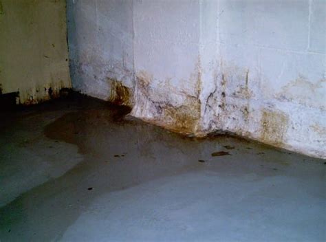 When dealing with a flooded basement, there are three important questions you must ask over time, your concrete walls may become damaged from soil pressure and water seepage. Tips on How to Prevent and Remove Mold in Basement