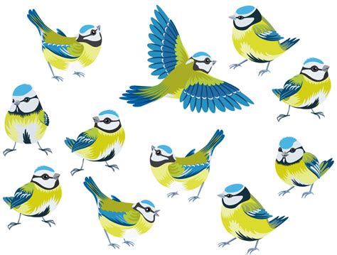 Птички мультяшные Рисунок птиц Искусство птицы Птички