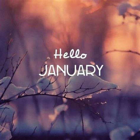 Pin By Jp On Winter Hello January Hello January Quotes January