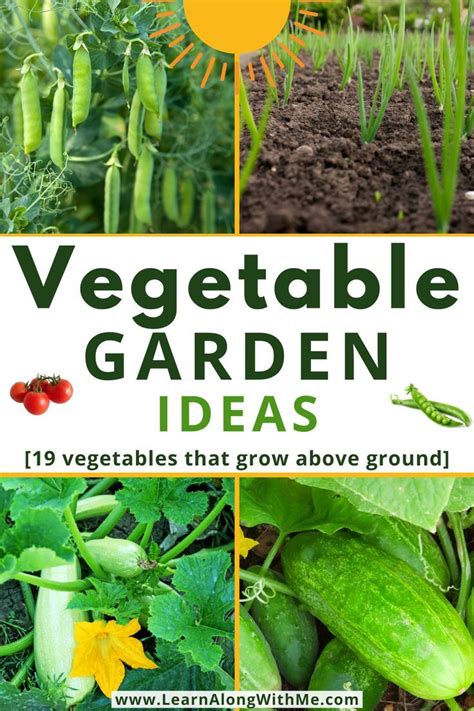 19 Vegetables That Grow Above Ground With Pics Artofit