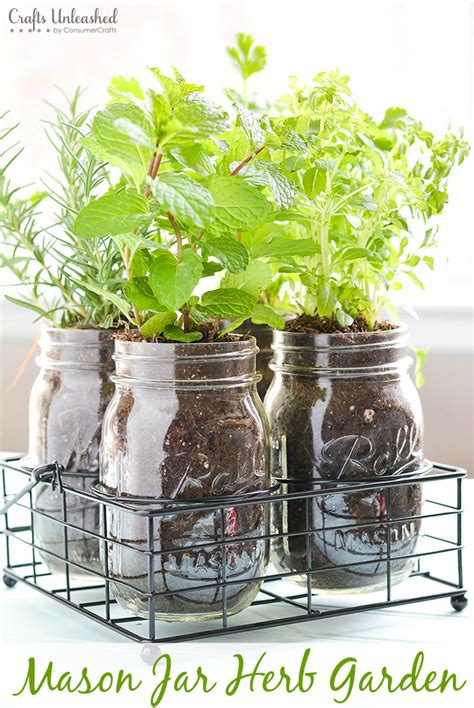 Mason Jar Indoor Herb Garden All Created