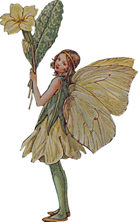 Fairy The Book Of The Flower Fairies Pixie Fairy Png Download 705