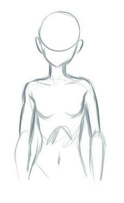 Male Body Anime Boy Guy How To Draw Mangaanime Body Sketches