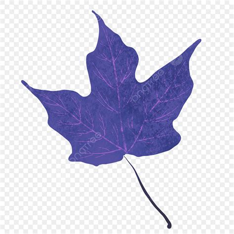 Cartoon Purple Leaves Triangle Leaves Free Illustration Png Triangle