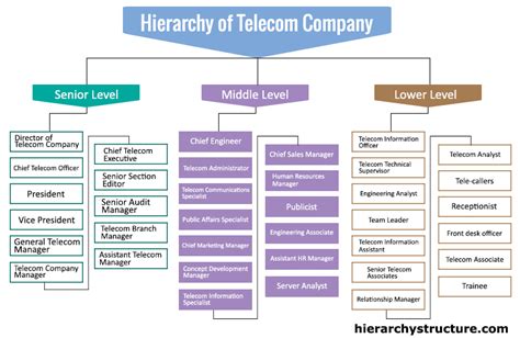 Telecom Company Hierarchy Chart
