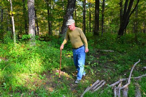 Old Man Walking In Forest Stock Image Image Of Trail 45208229