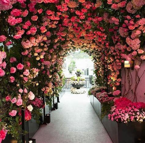 Celebrate and remember the lives we have lost in huntington beach, california. 20+ Stunning Nature Tunnels That Are Like Walking Through ...