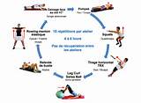 Images of Circuit Training Guide