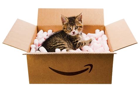 See more of amazon box on facebook. News analysis: Has Amazon let the cat out of the bag ...