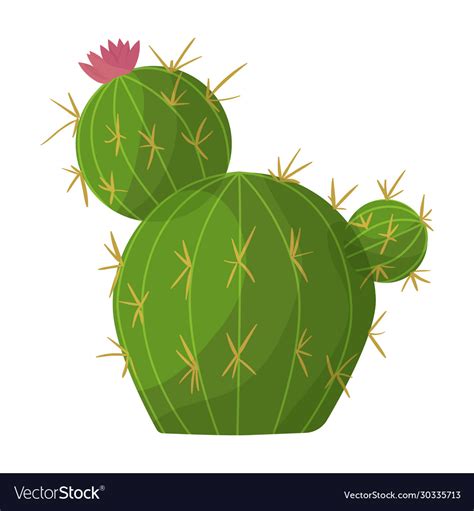 Cactus Flower Iconcartoon Icon Royalty Free Vector Image