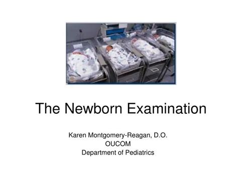 Ppt The Newborn Examination Powerpoint Presentation Free Download