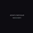 Infinito Particular - song and lyrics by Marisa Monte | Spotify