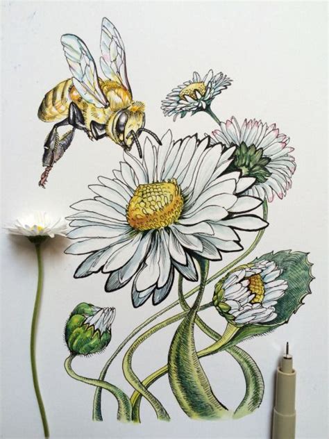 Continuous line art drawing of rose flower blooming minimalist design vector illustration. ∞Noel Badges Pugh∞ | Bee art, Flower drawing, Drawings