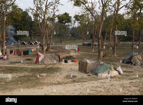 Community Of People Living In Tents In The Forest On The Outskirts Of
