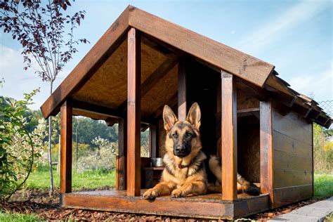 How Much Does It Cost To Build A Dog Kennel Checkatrade