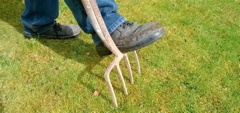 Do Hand Aerators Work Should You Buy One Care For Your Lawn