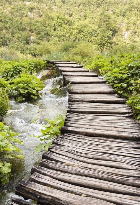Timber Walkway In Plitvice Croatia Stock Image Image Of Park