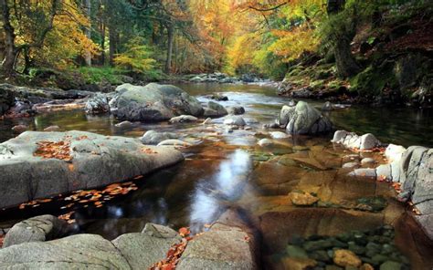 38 Hd Mountain Stream Wallpaper On Wallpapersafari