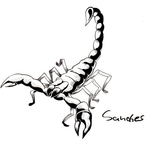 Scorpion Drawings Scorpion By Mateussanchessouza Places To Visit