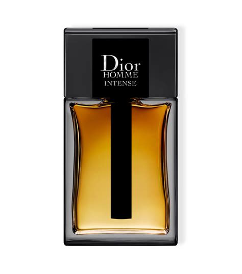 Homme Intense Edp 100ml Christian Dior The Perfume