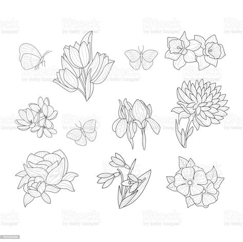 Spring Flowers And Butterflies Isolated Hand Drawn Realistic Sketches
