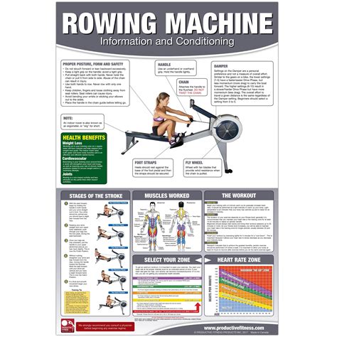 Rowing Machine Posterchart How To Use A Rower How To Use An Erg
