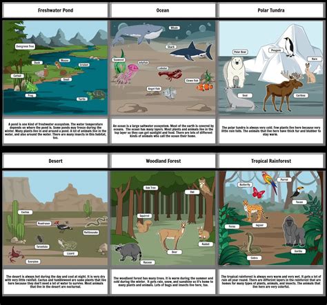 Habitats Storyboard By 9295b0ce