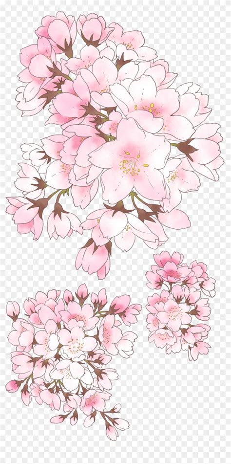 Download 09 Anime Cherry Blossom Tree Illustration