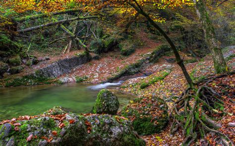 Autumn Water Stones Moss Trees River Lake Leaves Wallpapers Hd