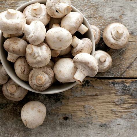 White Button Mushrooms Agaricus Macrocarpus Organic Mushroom Dry