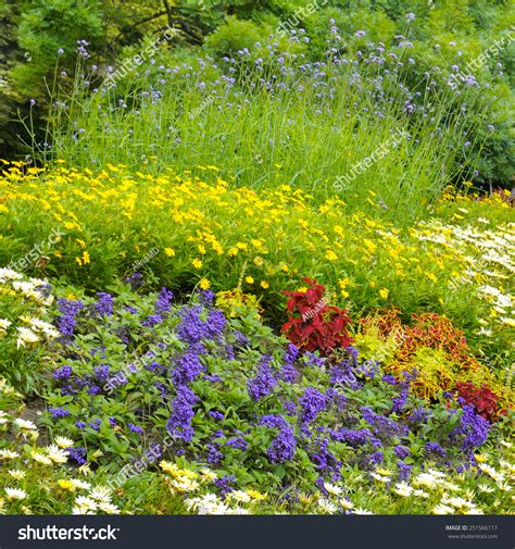 Beautiful Background Bright Garden Flowers Stock Photo