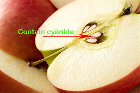 You Are Eating Cyanide Know How Grow Your Knowledge