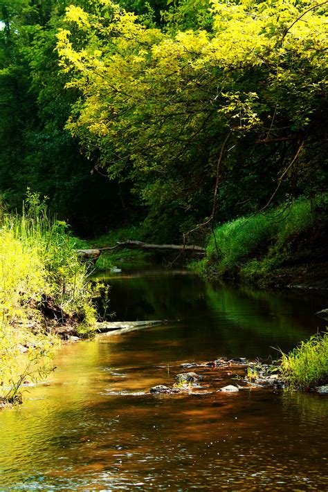 Peaceful River Cool Digital Photography