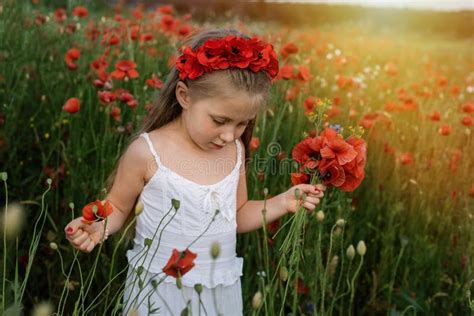 ukrainian beautiful girl in field of poppies and wheat outdoor portrait in poppies stock image