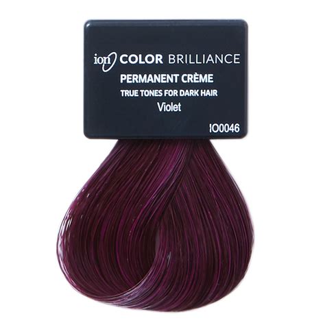 Hair Color Plum Plum Hair Dark Violet Hair Dark Hair Hair Color