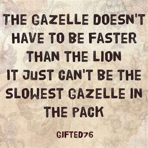 Every morning in africa, a gazelle wakes up, it knows it must outrun the fastest lion or it will be killed. The #gazelle doesn't have to be faster than the #lion It just can't be the slowest gazelle in ...