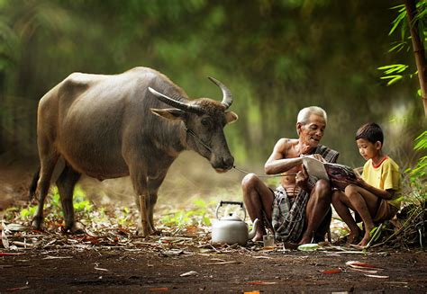 Everyday Lives Of Villagers In Indonesia Captured In Heartwarming