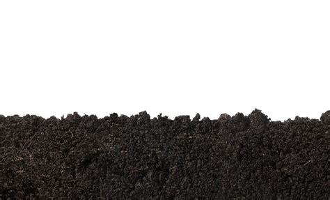 What Is Soil Porosity How To Get Porous Soil In The Garden
