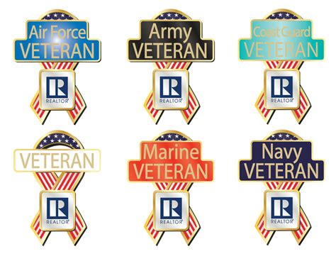 Military Veteran Pins Rts3012