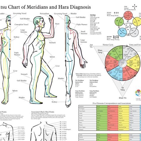 Shiatsu Chart Of Acupuncture Meridians And Hara Diagnosis Etsy Ireland