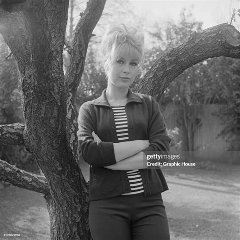 American Actress Barbara Eden At Home Circa 1967 News Photo Getty