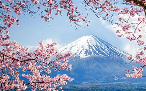 1920x1080px 1080p Free Download Fuji And Sakura Lake Kawaguchi 2020