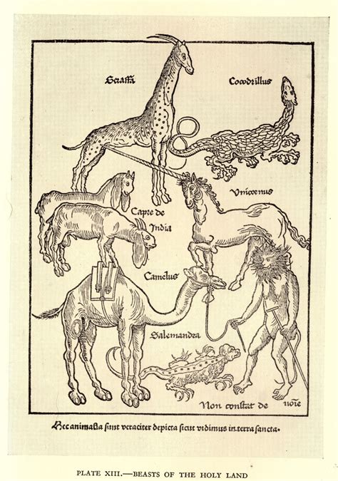 unicorns in religion random scottish history