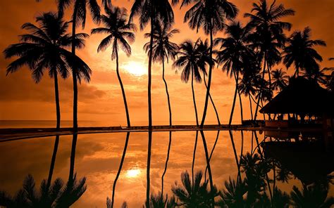 🔥 41 Hawaii Sunset Wallpapers Wallpapersafari