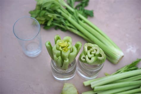 How To Regrow Celery From The Store Gardenary