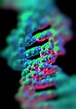 Dna Double Helix Structure Photograph by Alfred Pasieka/science Photo ...