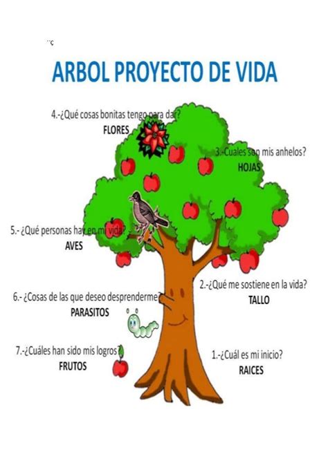 Árbol Proyecto De Vida