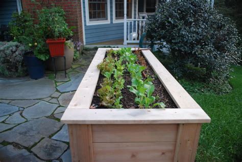 16 Diy Salad Table Ideas To Get Fresh Salad With Little Garden Space